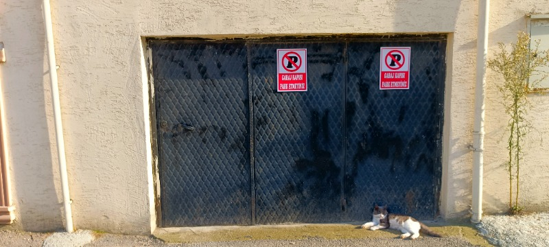 visual-comment-img