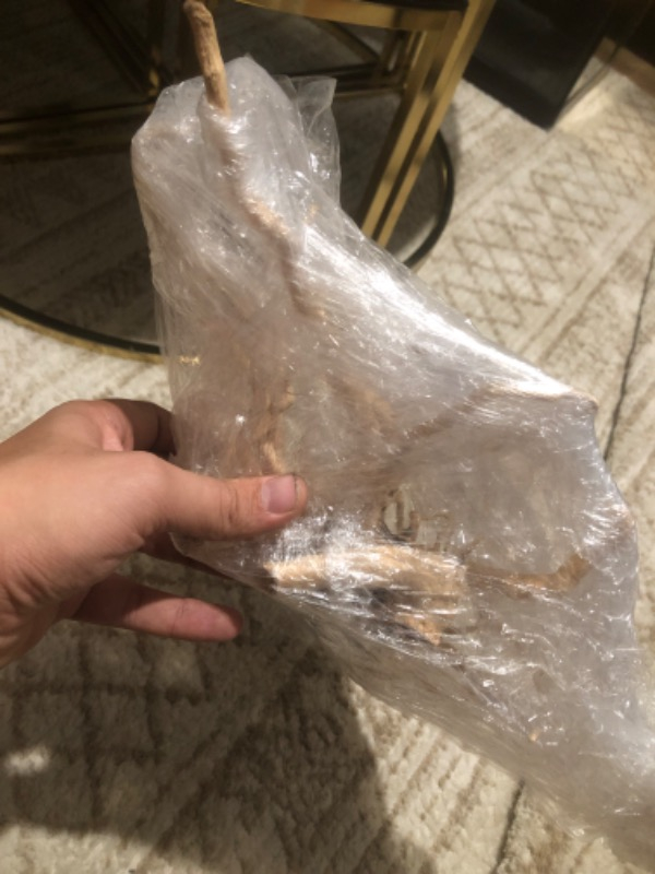 Netx Çöl (Yati) Kütüğü Bağ 35-45 cm