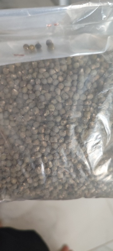 Attargani Bamya Tohumu 250 g