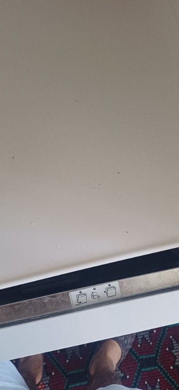 Filit Hamam Böceği ve Karınca Jeli Böcek Ilacı Jel