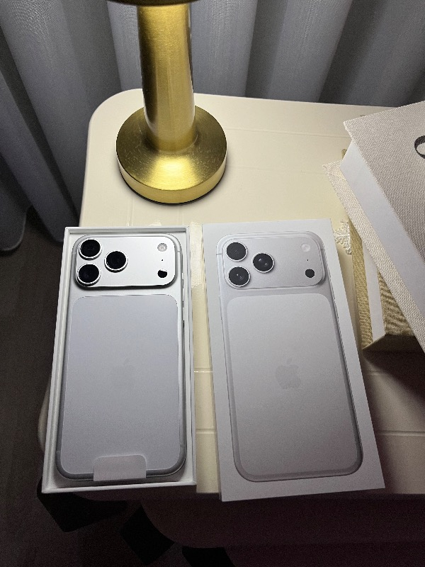 Apple iPhone 17 Pro Max 256 GB Gümüş