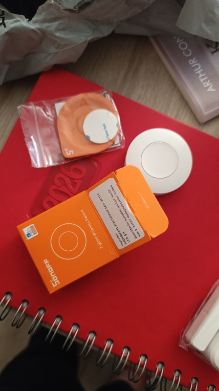 Sonoff Mini R4 Matter Akıllı Röle