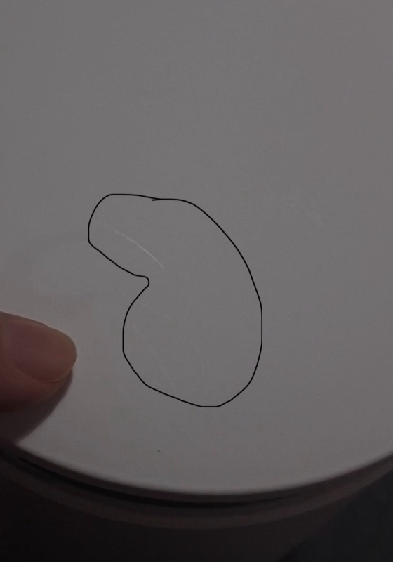 Xiaomi Mi Smart Kettle Pro