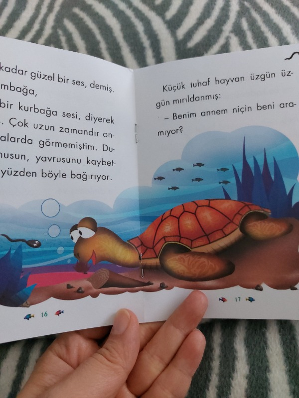Mini Masallar Seti 1 (10 Kitap) - Müjgan Şeyhi