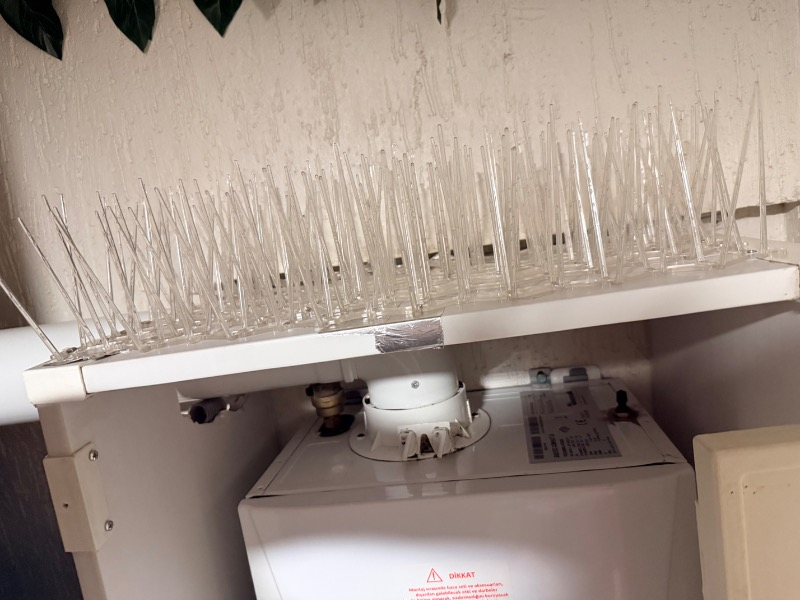 Belirtilmemiş 20'li Plastik Kuşkonmaz Bariyer Kuş Engelleyici Tel 3D Model Hafif ve Mukavemetli Özellik