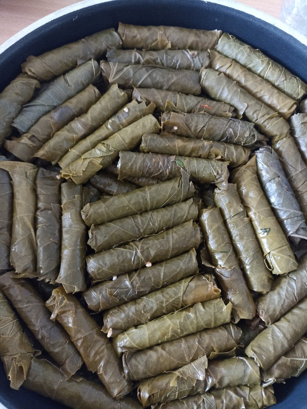 Toptancı Kapında Yaprak Sarma Makinesi