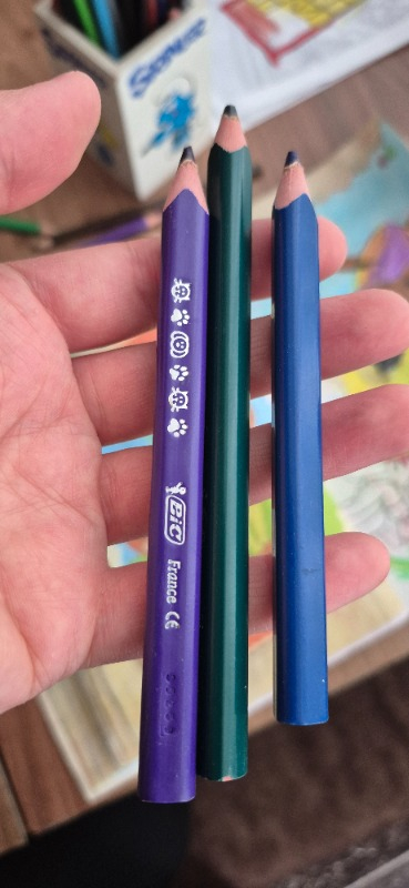 Bic Evolution Üçgen jumbo Boya Kalemi 12 Renk 1632