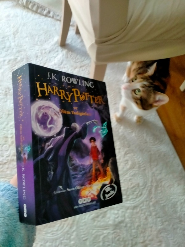 Harry Potter ve Ölüm Yadigarları - J. K. Rowling