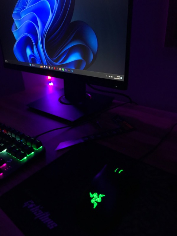 Razer Deathadder Essential Optik Kablolu Oyuncu Mouse