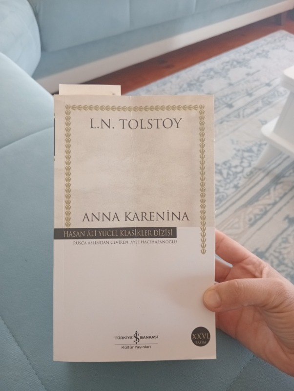 Anna Karenina (Ciltsiz) - Lev Nikolayeviç Tolstoy