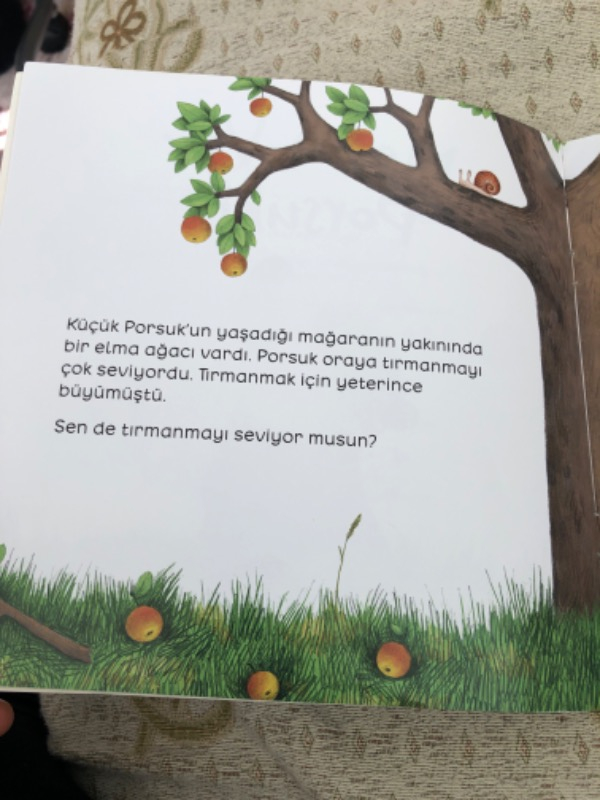İş Bankası Kültür Yayınları Neyin Var Porsuk? - Constanze Von Kitzing