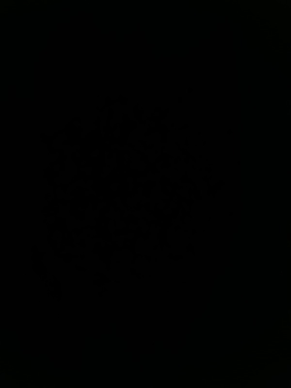 visual-comment-img