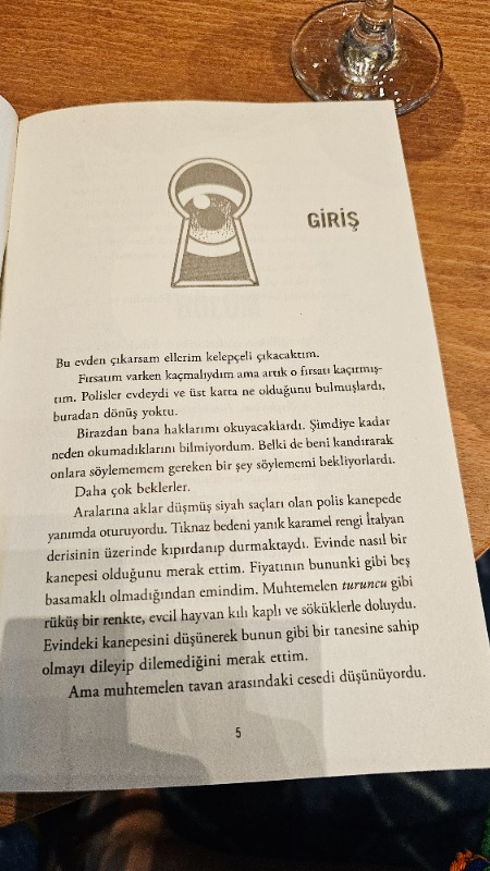 Hizmetçi - Freida Mcfadden