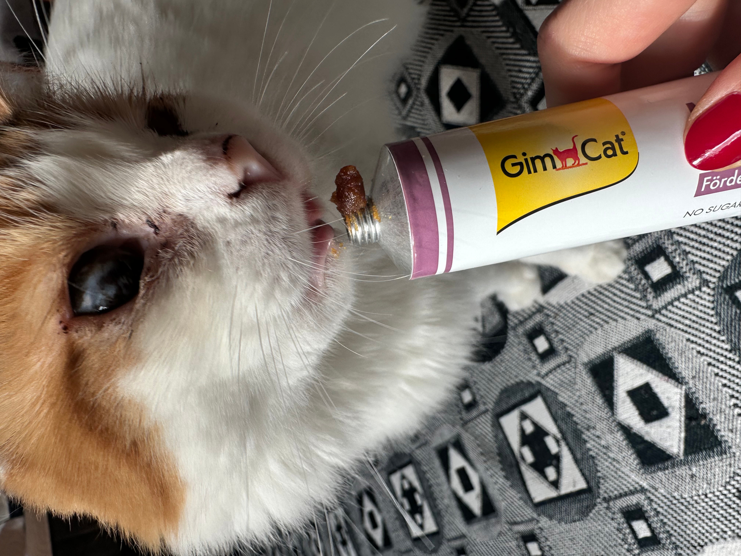 Gimcat Malt Soft Extra 100 gr