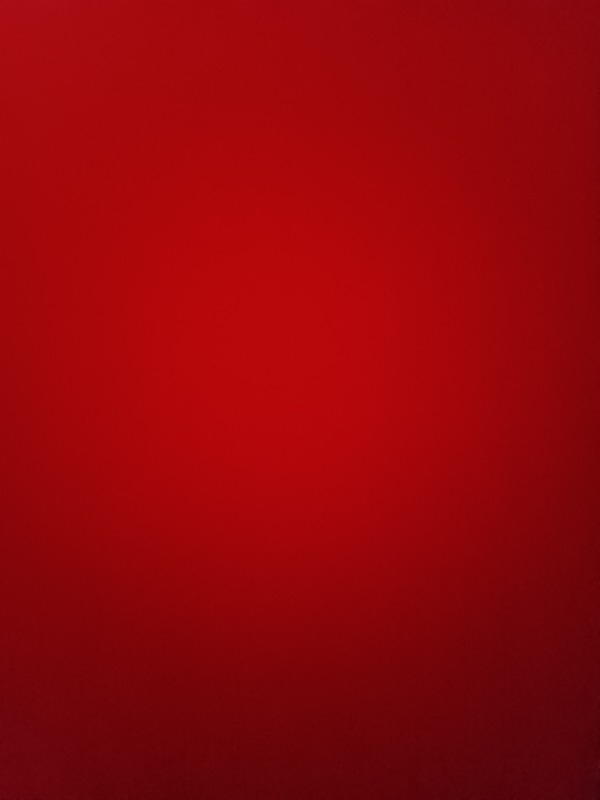 Gs Store Galatasaray Erkek Deniz Şortu E251083
