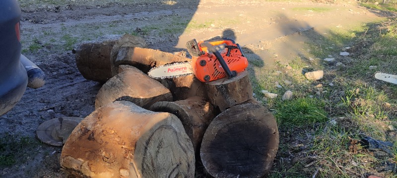 Palmera ZL2501 Pro Motorlu Testere