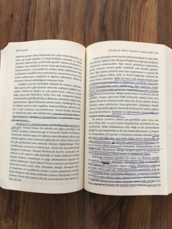 Ustalık - Robert Greene