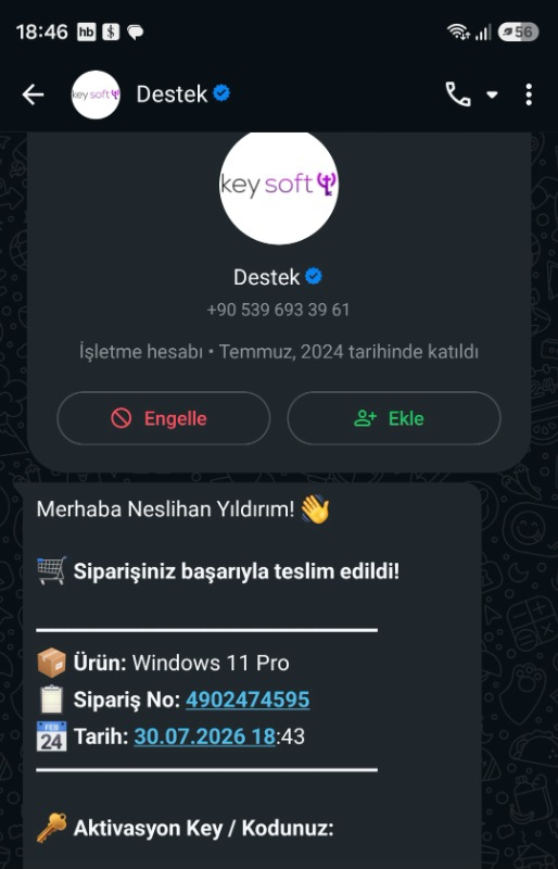 Microsoft Windows 11 Pro - Elektronik Lisans