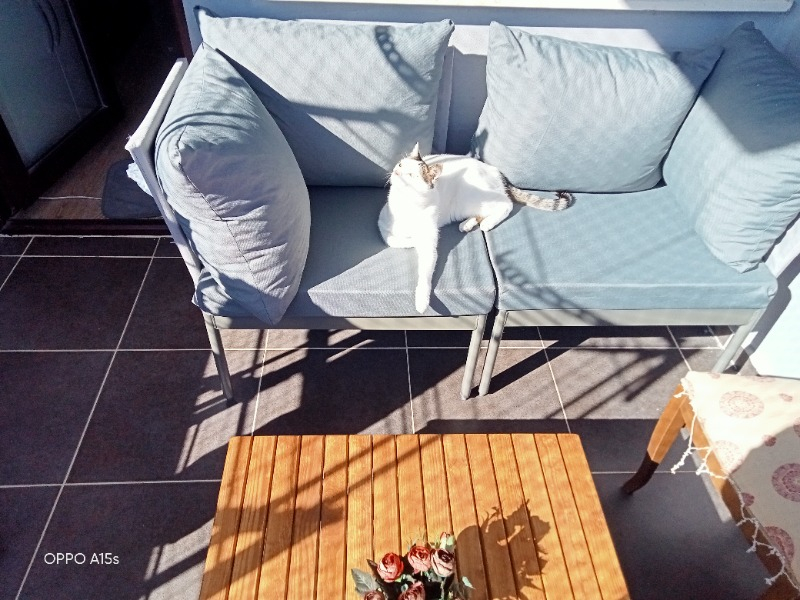 Limni Home Mini Multilounge Bahçe Balkon Seti, Şezlong