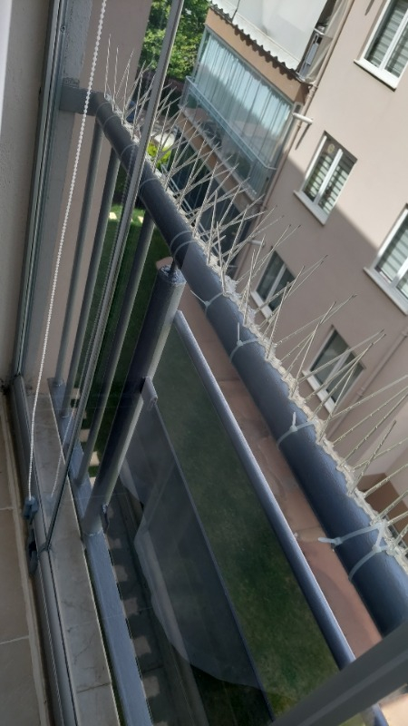 Expel Plastik Kuşkonmaz Bariyer Kuş Engelleyici Tel 3D Model 20'li