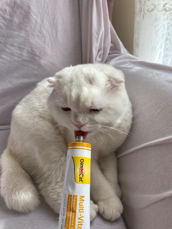 GimCat Multivitamin 100 gr