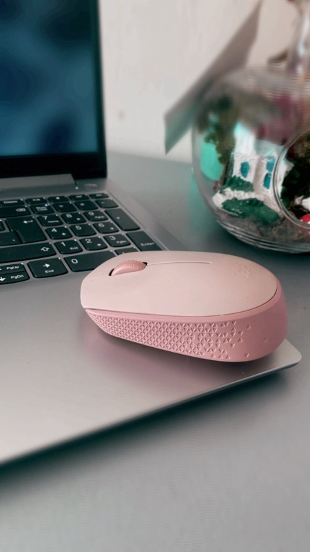 Logıtech M171 Kablosuz Mouse- Rose 910-006865
