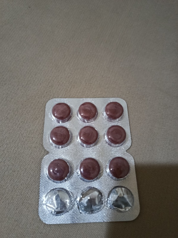 Pastil 12 adet(Zencefil, Karamürver, Propolis, C vitamini İçeren Pastil Takviye Edici Gıda)