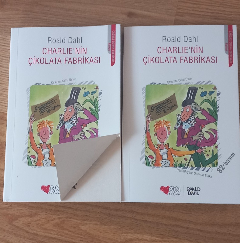 Can Çocuk Yayınları Charlie'nin Çikolata Fabrikası - Roald Dahl