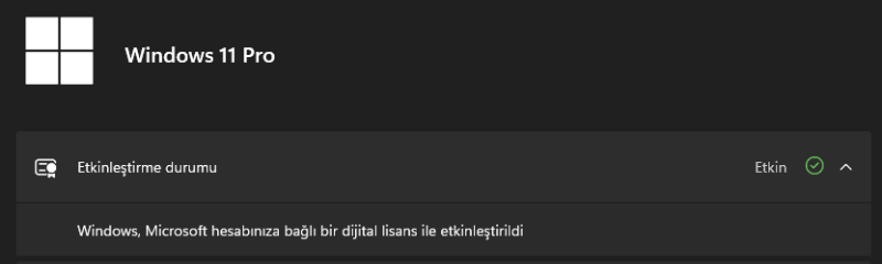 Microsoft Windows 11 Pro - Elektronik Lisans