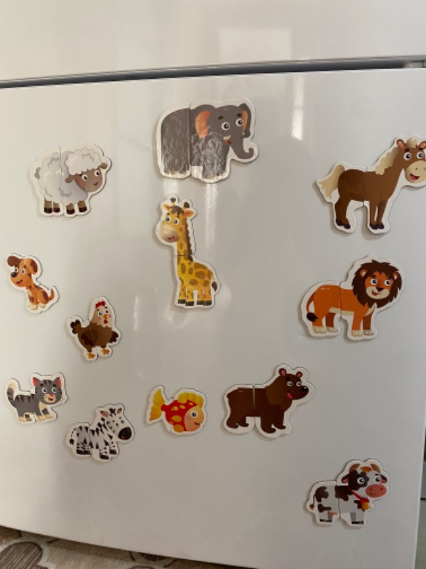 İlk Magnet Puzzle 12 - 36 ay