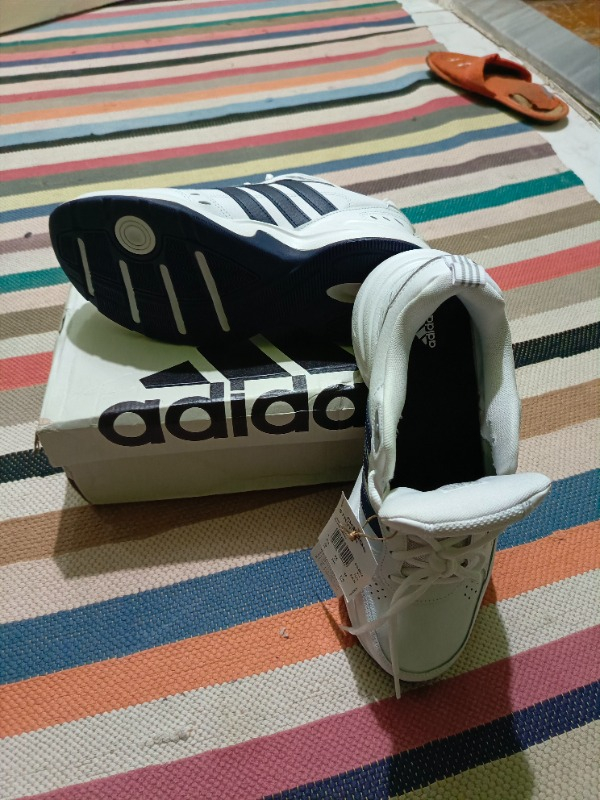 adidas Strutter Erkek Spor Ayakkabı EG2654
