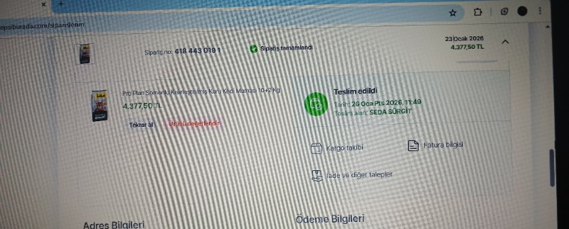 Pro Plan Sterilised Somonlu Kedi Maması 12 Kg