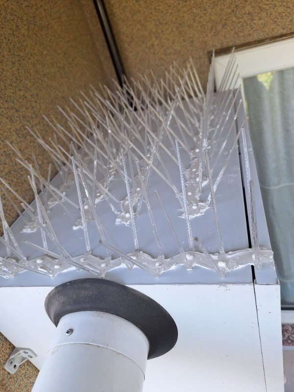 Expel Plastik Kuşkonmaz Bariyer Kuş Engelleyici Tel 3D Model 10'lu
