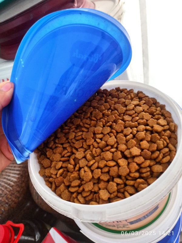 King Yetişkin Kediler için Kuzu Etli Kedi Maması 15 Kg