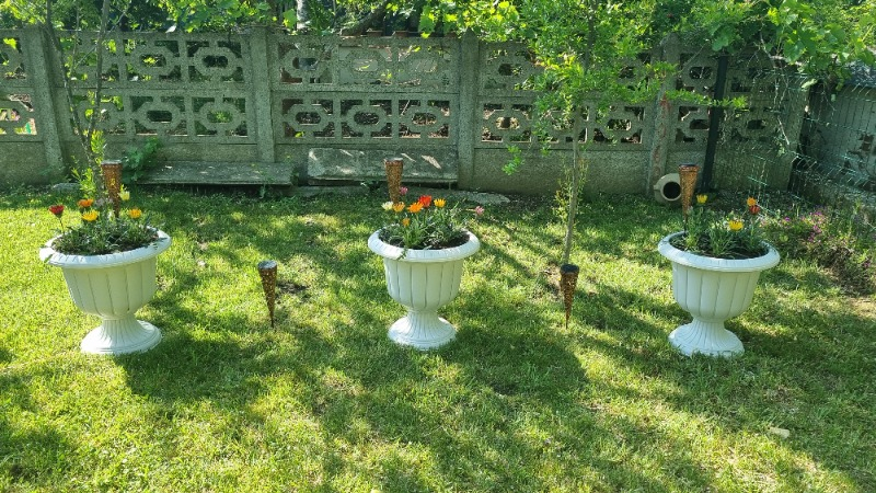 visual-comment-img