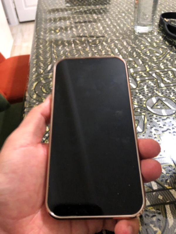 iPhone 13 Pro Max 256 GB