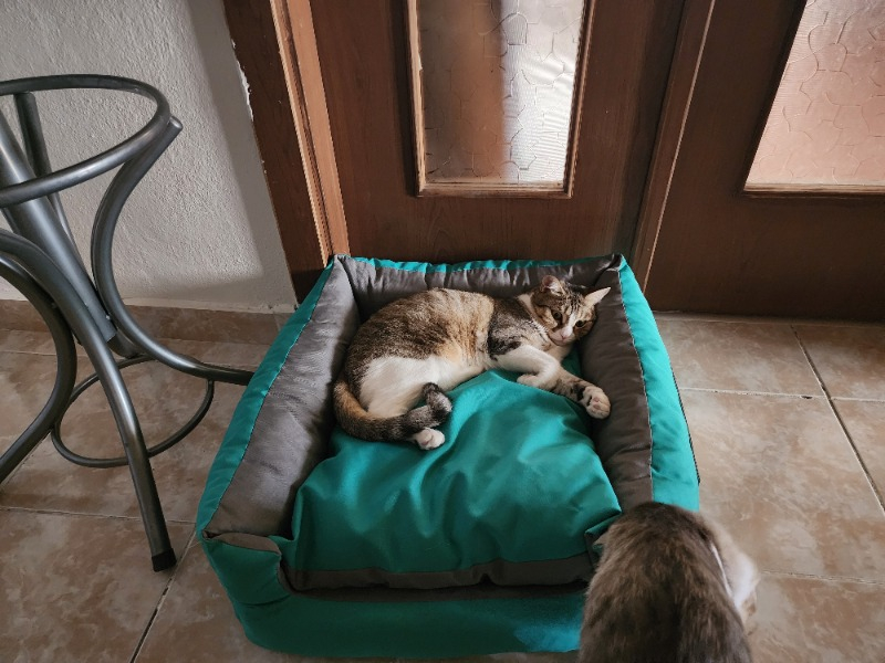 visual-comment-img