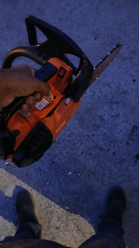Palmera ZL2501 Pro Motorlu Testere