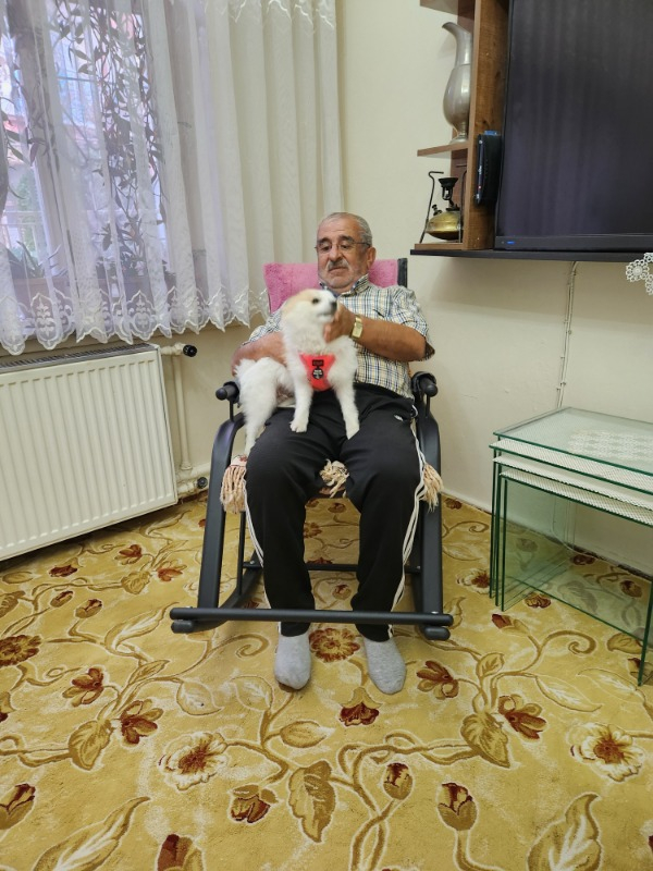 Zerka Concept Nil Sallanan Sandalye Tv Koltuğu