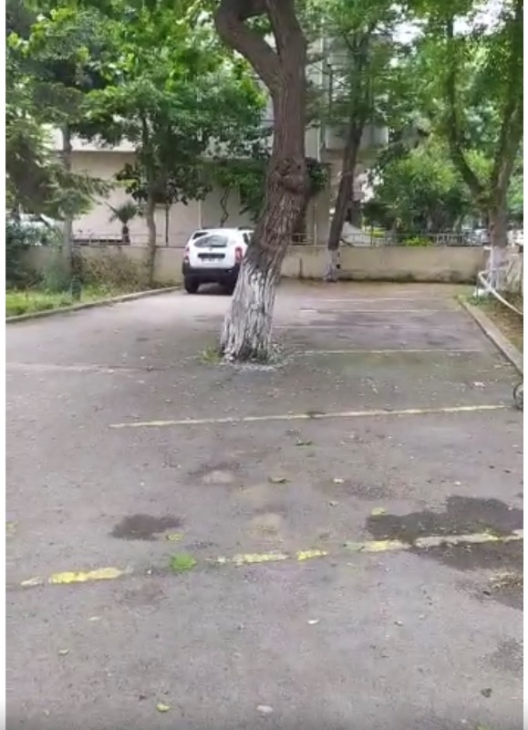 Sönmemiş Toz Kireç - 5 KG