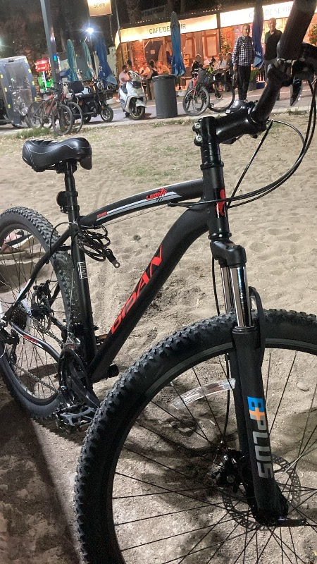 Bisan Leon Md 29 Jant Disk Fren Dağ Bisikleti 2024 Model