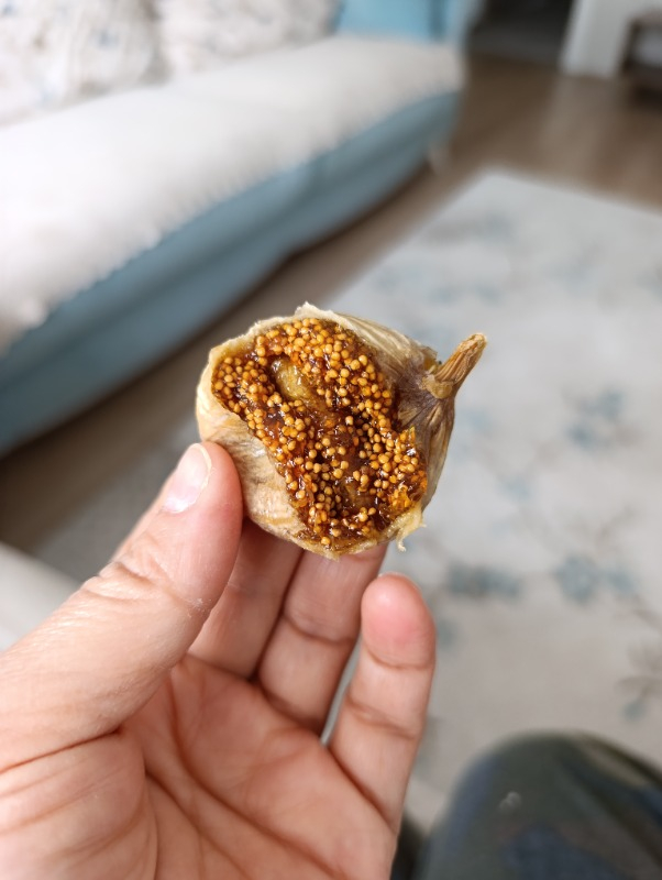 Gramas Extra Kalite Protoben Dağ İnciri İri Boy 1 Kg