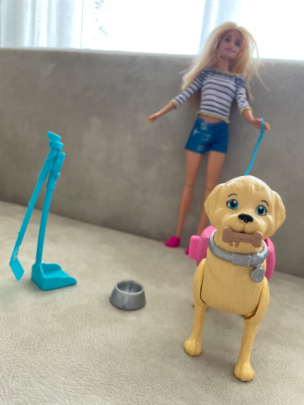 Barbie ve Tuvalet Eğitimindeki Köpeği