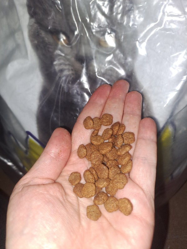 King 15 Kg Kuzu Etli Yetişkin Kedi Maması Ekonomik Segment İçin Lezzetli Seçim