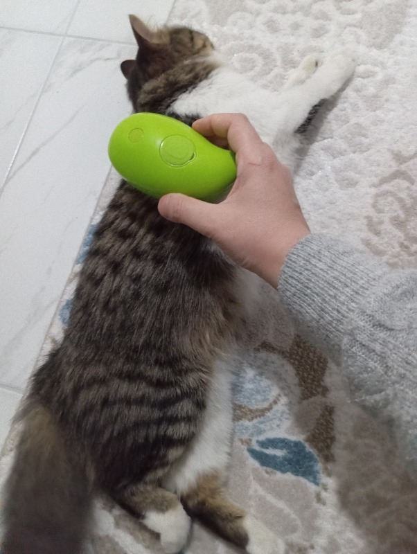 Pet Brush Kedi Köpek Buharlı Tarak