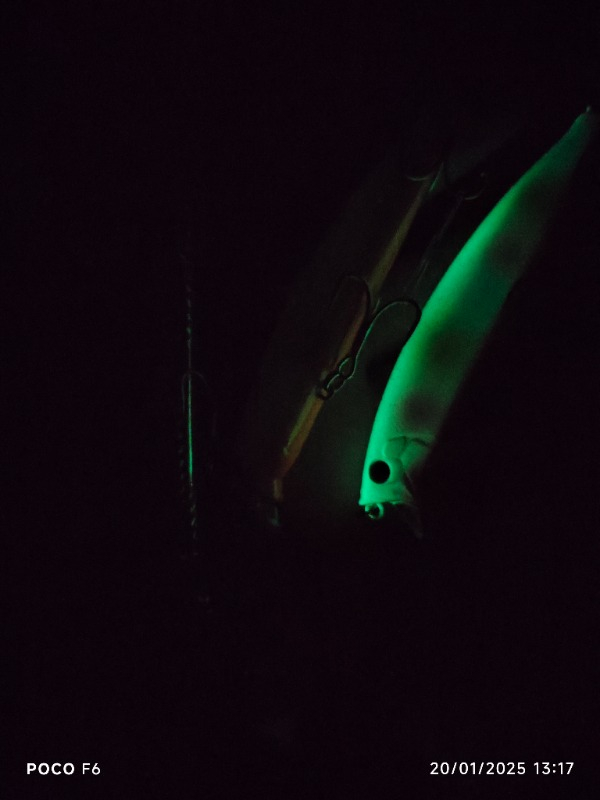 Fujin Punisher 10,5Cm 16Gr Floating Suni Yem