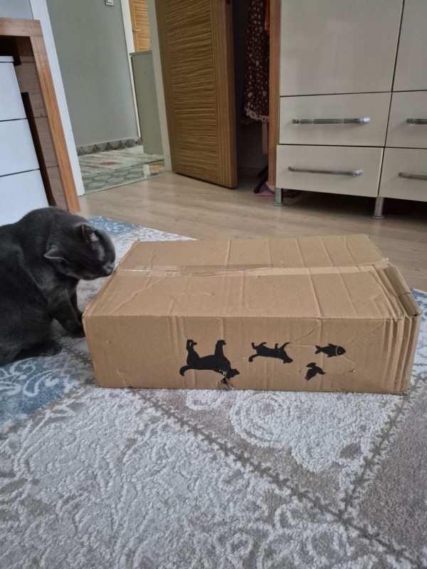 Pro Plan Somonlu Kısırlaştırılmış Kuru Kedi Maması 10+2 Kg