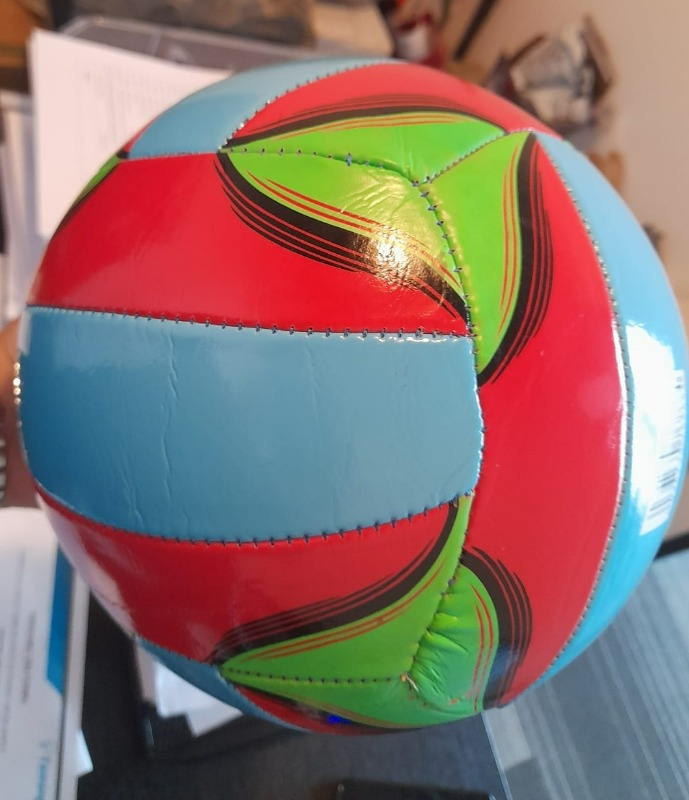 Anka Voleybol Topu (Profesyonel Boy)