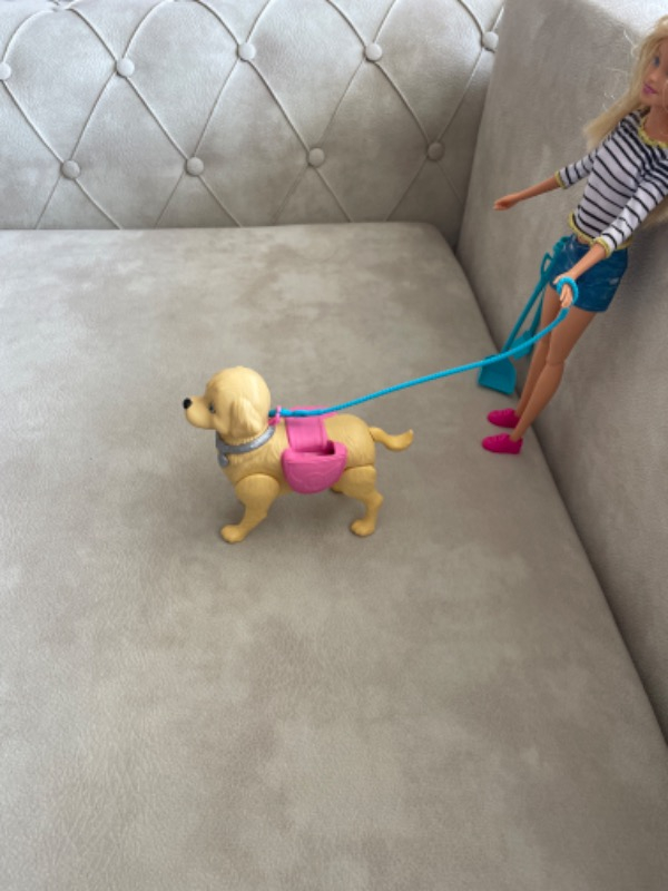 Barbie ve Tuvalet Eğitimindeki Köpeği