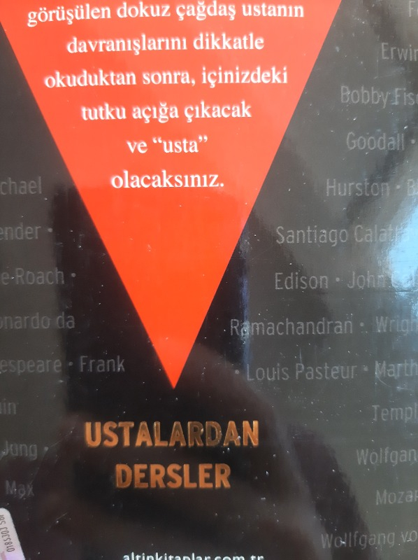 Ustalık - Robert Greene